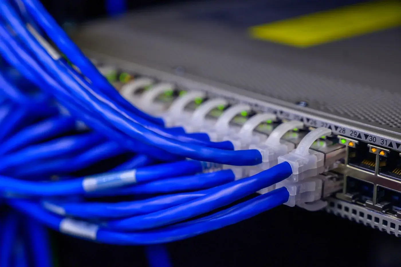Blaue Ethernetleitungen mit RJ45-Steckern an einem Netzwerkswitch